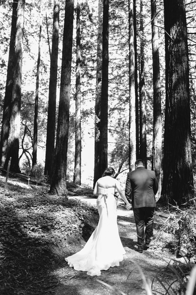 Natalie and Tom's Beautiful Wedding in the Redwood Grove (California) of the Berkeley Botanical Garden, near UC Berkeley // SimoneAnne.com