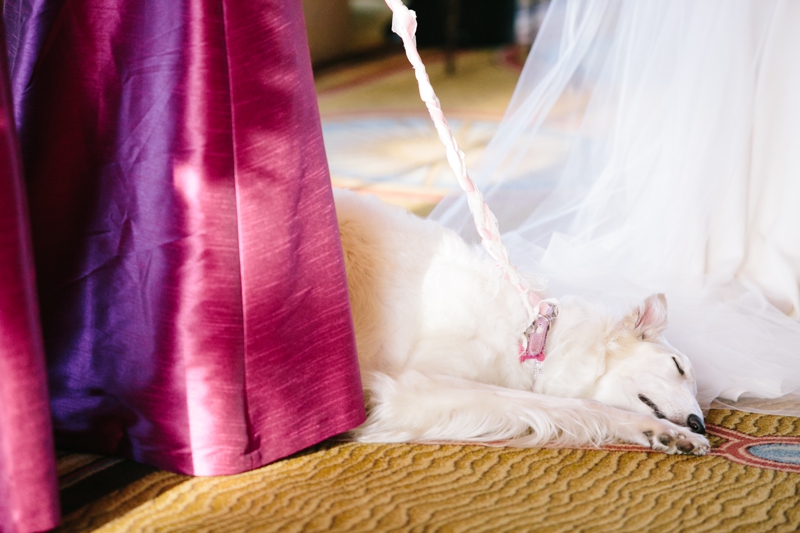 Classic, Iconic San Francisco Wedding at the Westin St. Francis on Union Square and with Portraits in the Presidio. Bride work Oscar de la Renta! // SimoneAnne.com