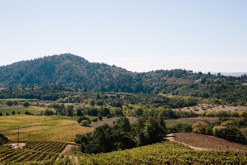 Stunningly beautiful Healdsburg Winery Wedding in California - The most amazing flowers, dress, and couple! // SimoneAnne.com