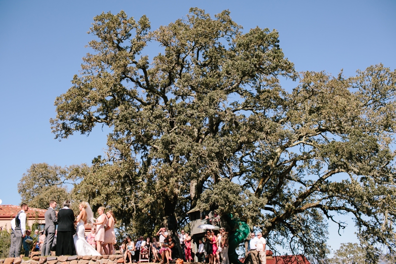 Stunningly beautiful Healdsburg Winery Wedding in California - The most amazing flowers, dress, and couple! // SimoneAnne.com