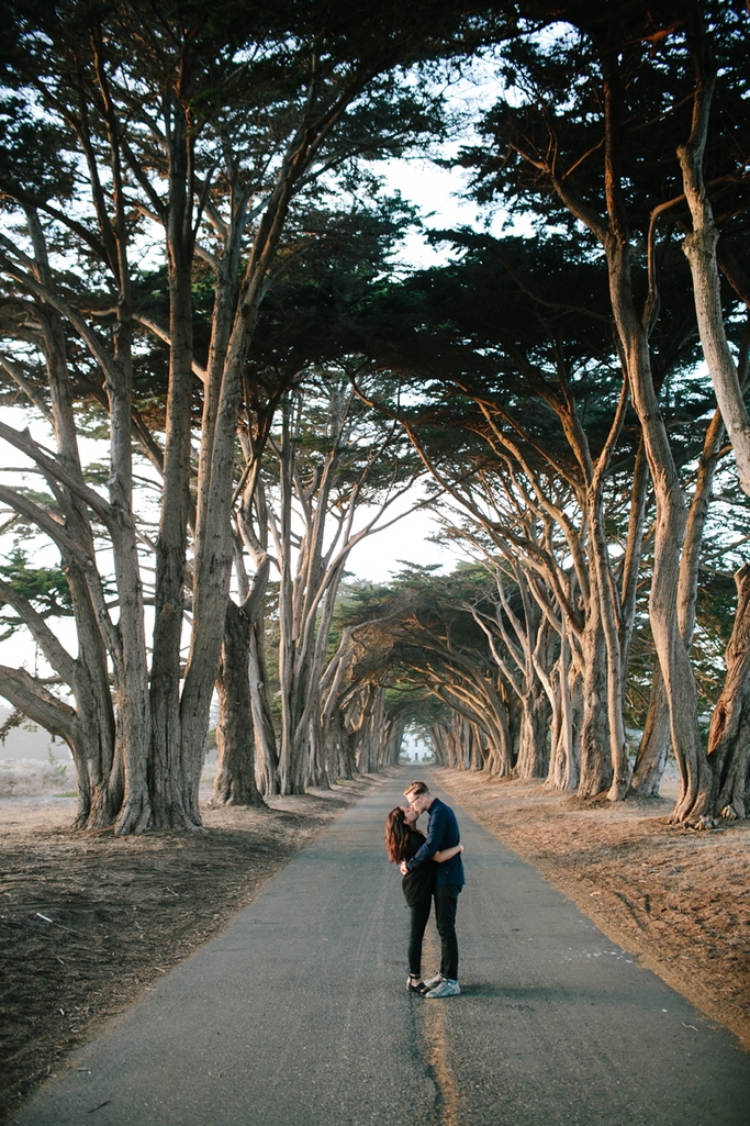 Dreamy Point Reyes National Park Engagement photos / Cypress Grove / Point Reyes Lighthouse / Point Reyes Shipwreck // SimoneAnne.com