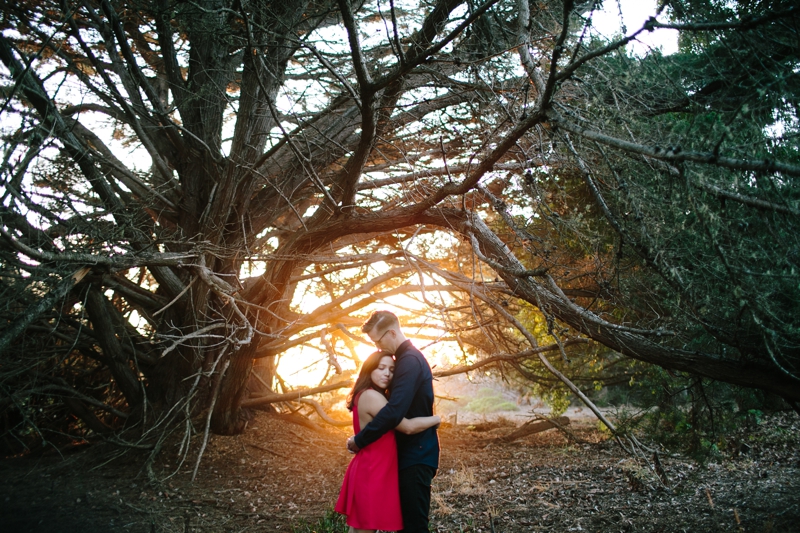 Dreamy Point Reyes National Park Engagement photos / Cypress Grove / Point Reyes Lighthouse / Point Reyes Shipwreck // SimoneAnne.com