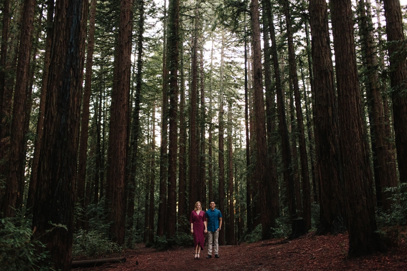 Gorgeous redwoods engagement photos in a stunning redwood grove in Oakland, California / Oakland engagement photos // SimoneAnne.com