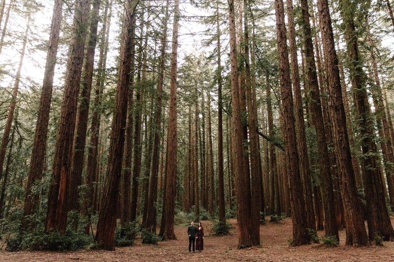 Megan and Chad's Stunning Oakland Engagement Photography in the Oakland Redwoods // SimoneAnne.com