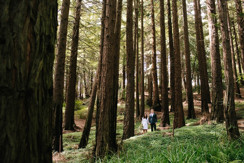 Lindsey and David's Berkeley Botanical Garden wedding in the redwoods and picnic wedding reception // SimoneAnne.com