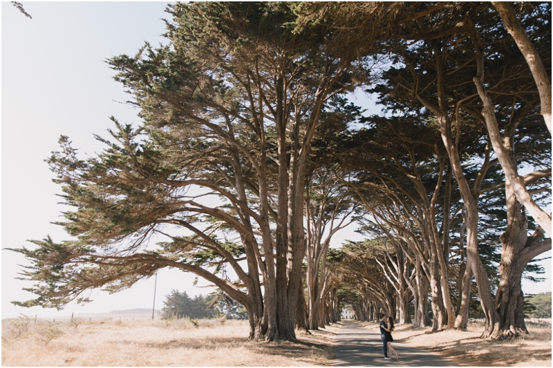 Candice and Xiao, Point Reyes Engagement Photographer // SimoneAnne.com