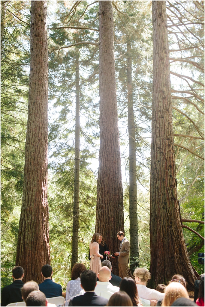 Tilden Botanical Garden / Berkeley Wedding Photographer / Botanical Garden Wedding Photographer // SimoneAnne.com