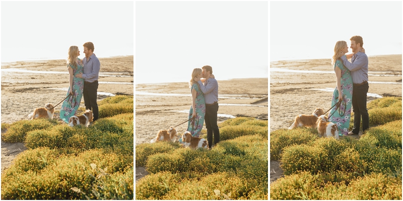 Stinson Beach Engagement Photos / San Francisco Engagement Photographer / Engagement Photos with Dogs / Best Wedding Photographer San Francisco // SimoneAnne.com