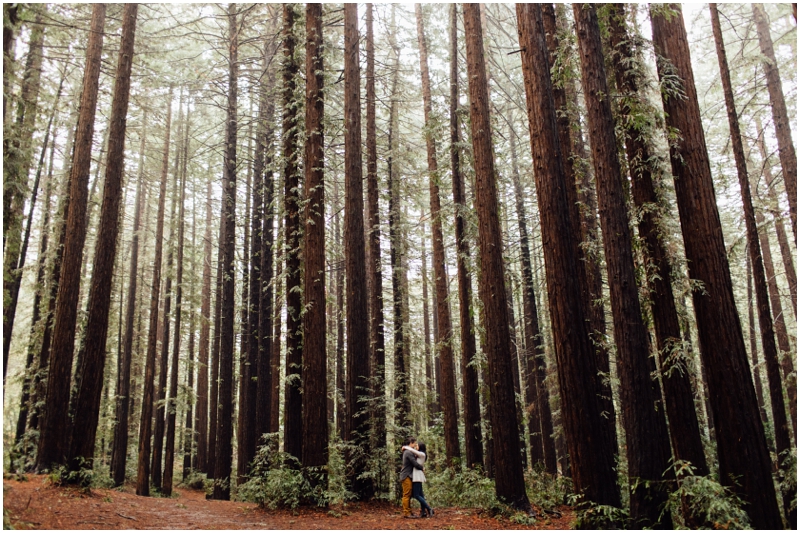 Oakland couples photos / Oakland engagement photographer / Oakland redwoods photos / Oakland engagement photos // SimoneAnne.com