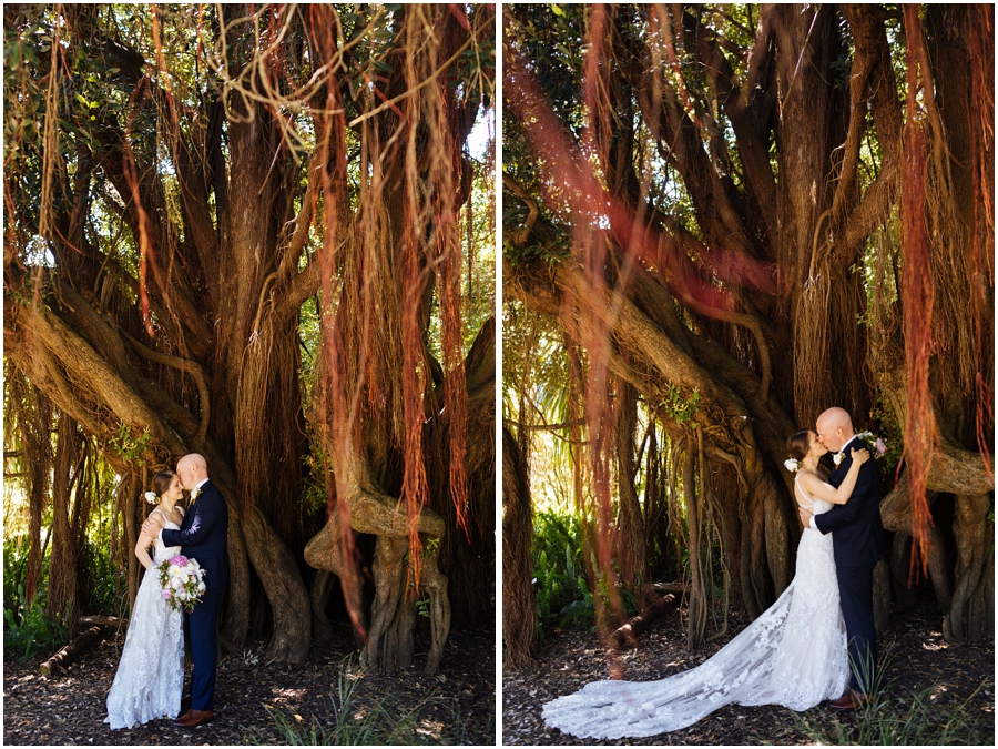 Bride and groom stand under a beautiful tree in the San Francisco Botanical Garden during their San Francisco picnic wedding reception