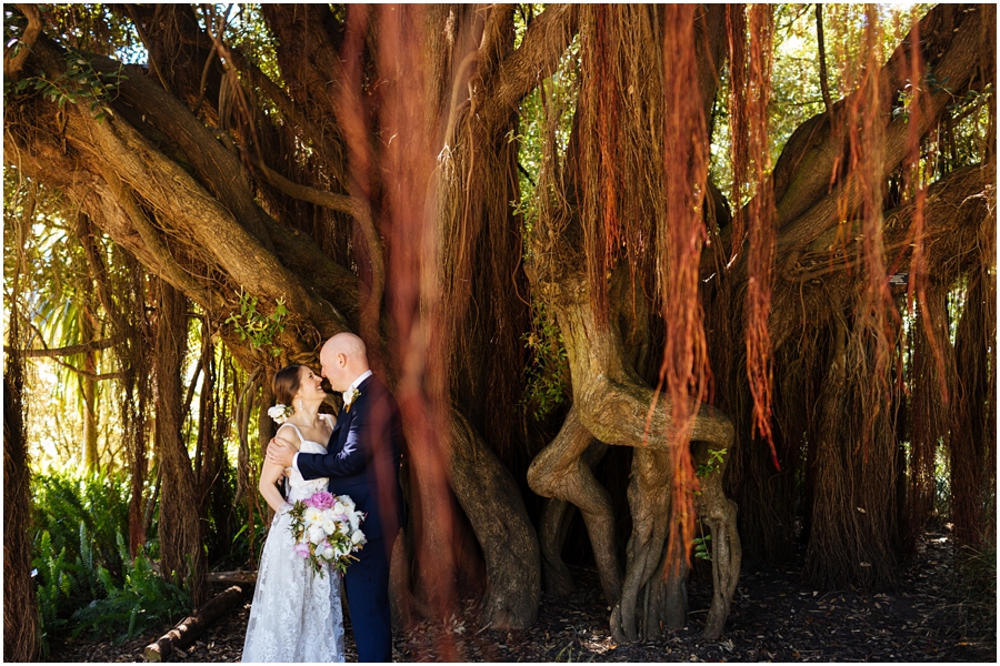 Bride and groom stand under a beautiful tree in the San Francisco Botanical Garden during their San Francisco picnic wedding reception