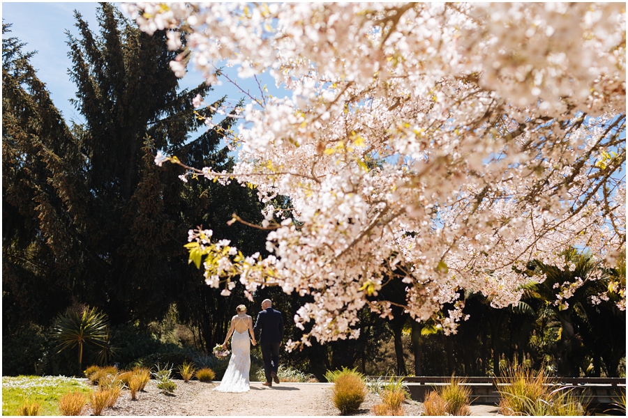 Bride and groom walk hand in hand under the cherry blossoms at the San Francisco Botanical Garden during their San Francisco picnic wedding reception