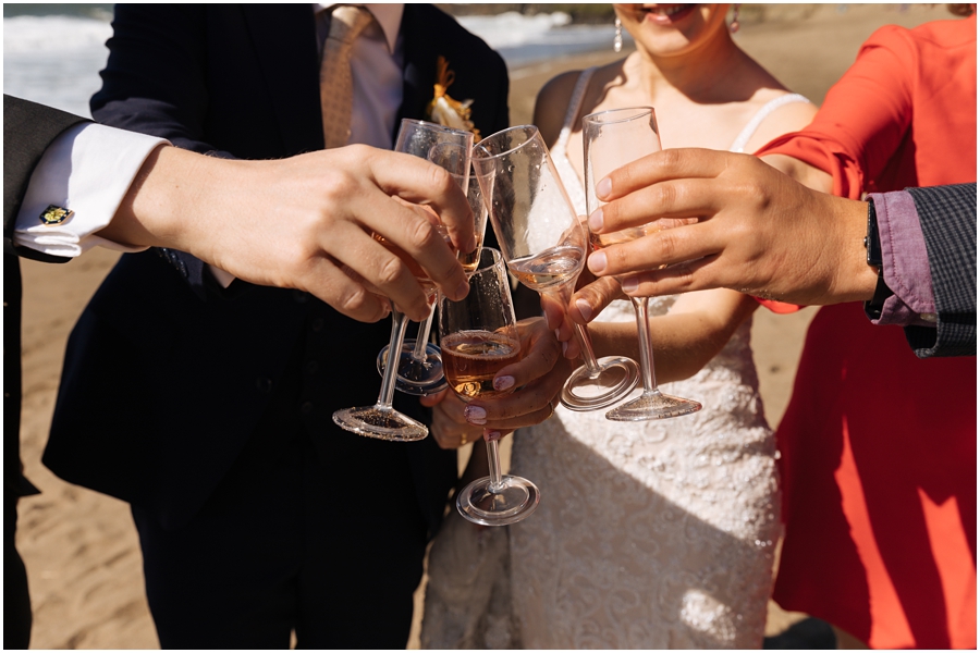 Couple and friends cheers their pink champagne during their San Francisco picnic wedding