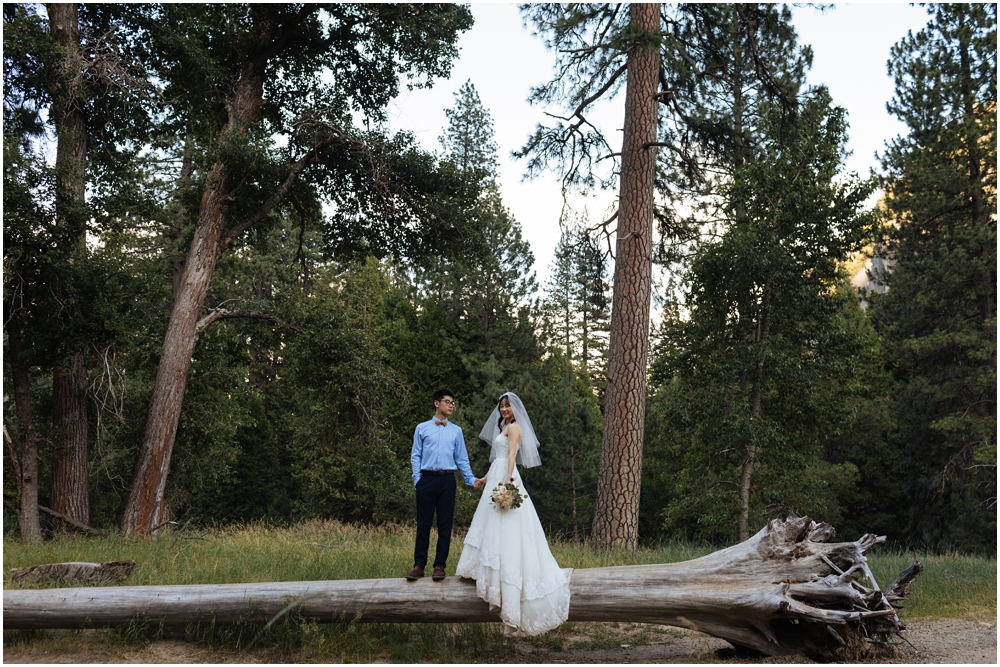 Yosemite Valley Wedding Photos