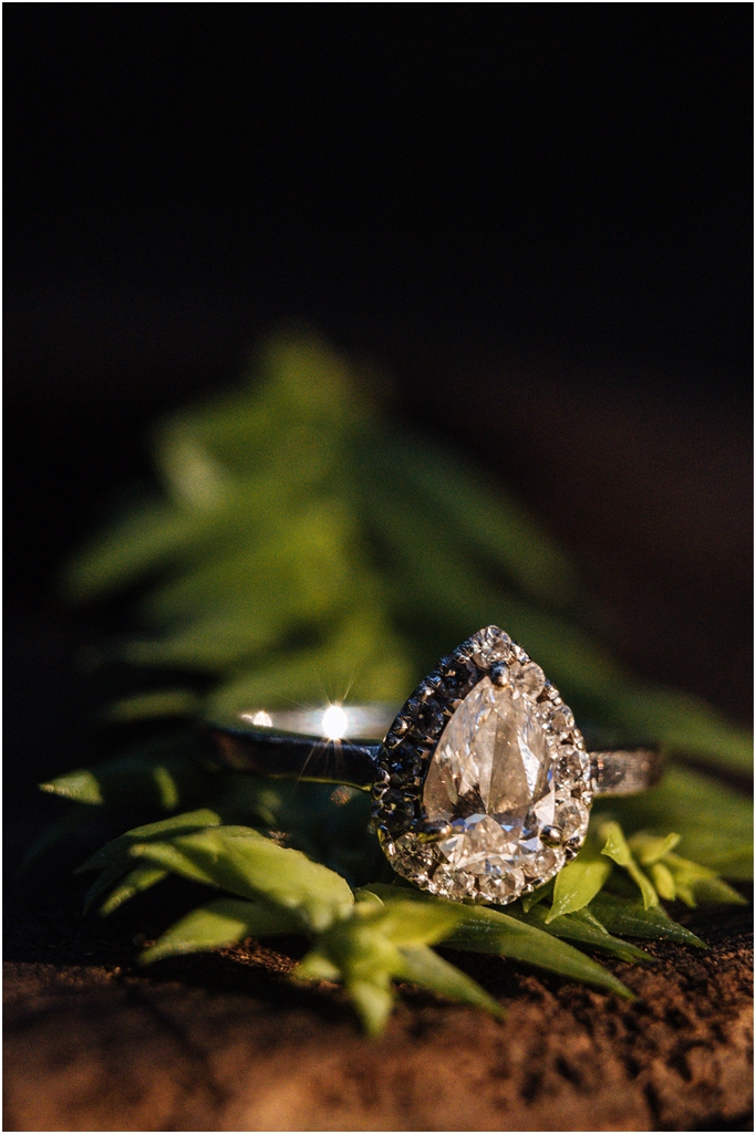 Marcom Rose Garden Engagement Photos