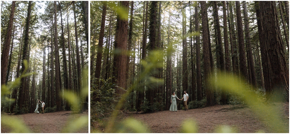 Marcom Rose Garden Engagement Photos