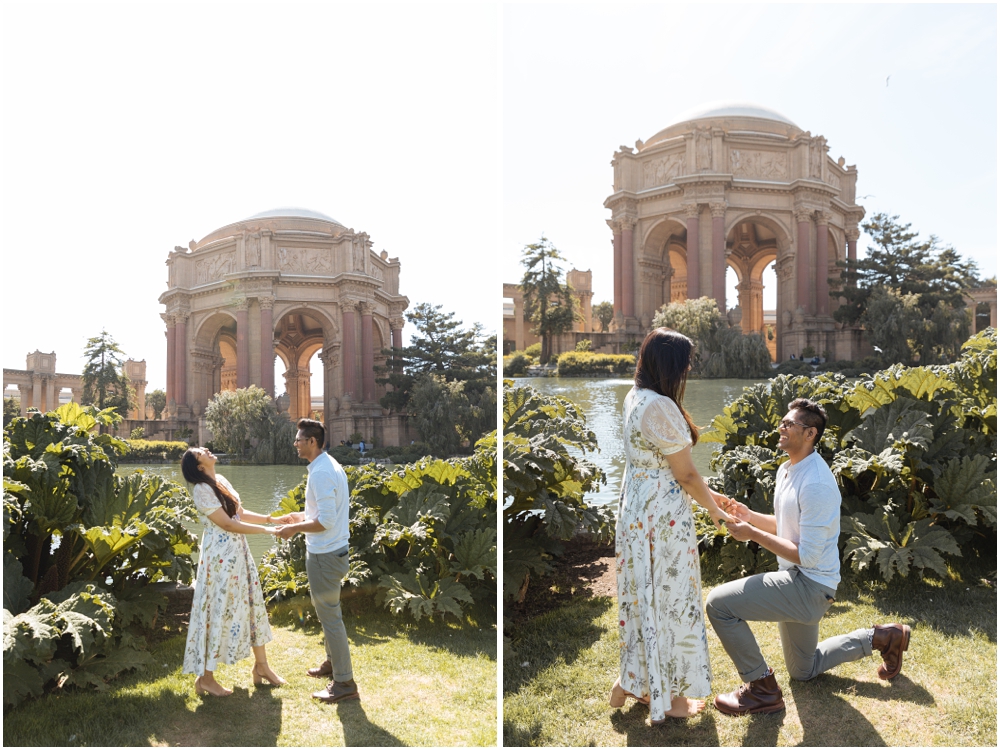 Palace of Fine Arts Proposal