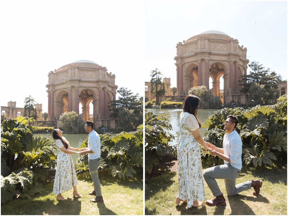 Palace of Fine Arts Proposal 