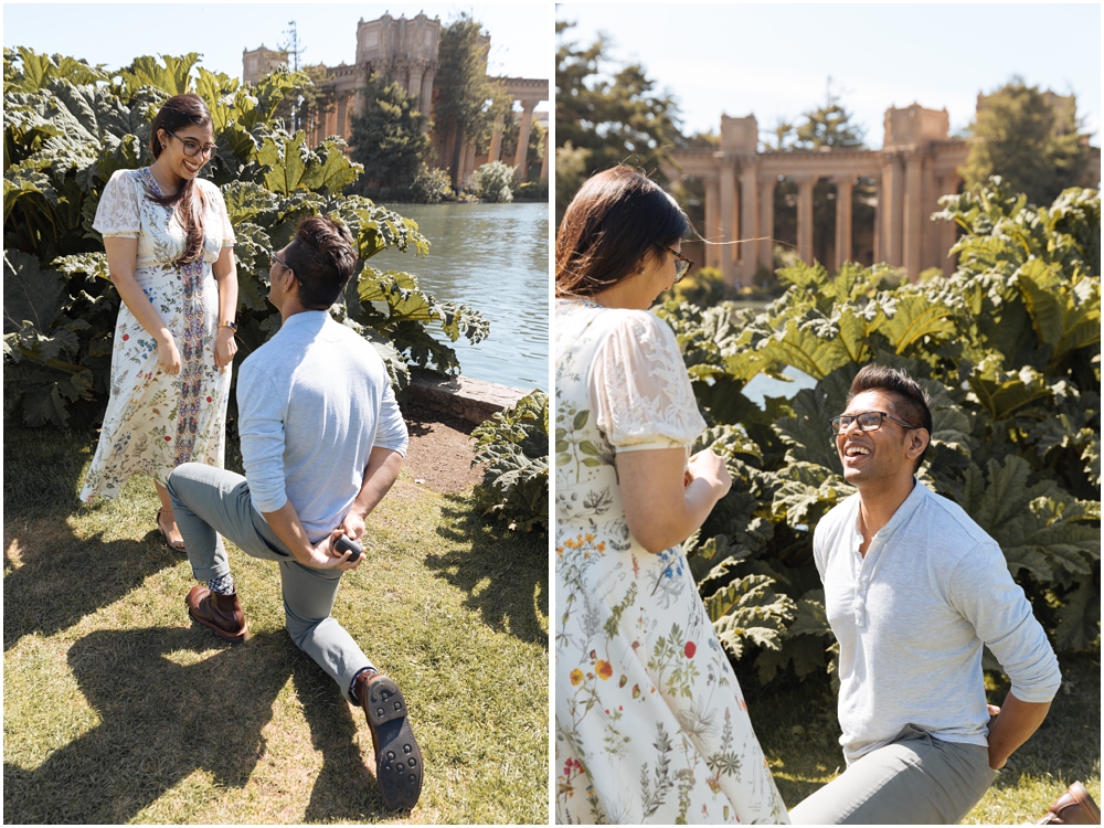 Palace of Fine Arts Proposal