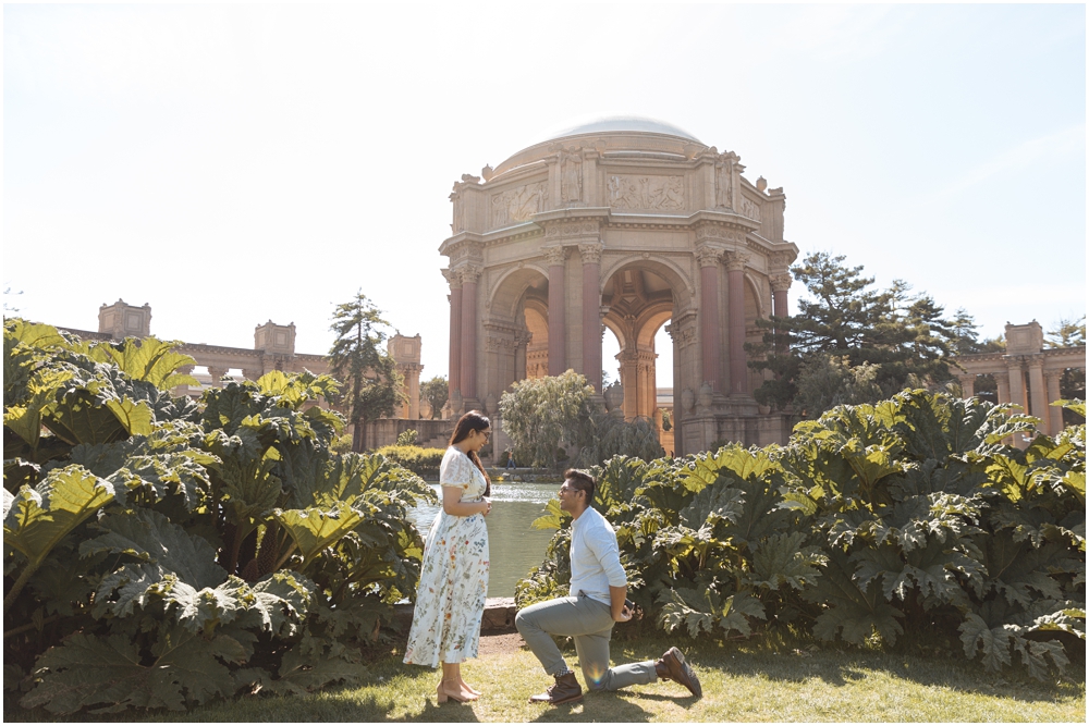 Palace of Fine Arts Proposal