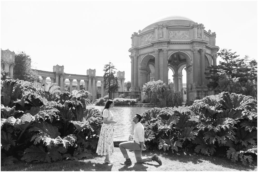 Palace of Fine Arts Proposal