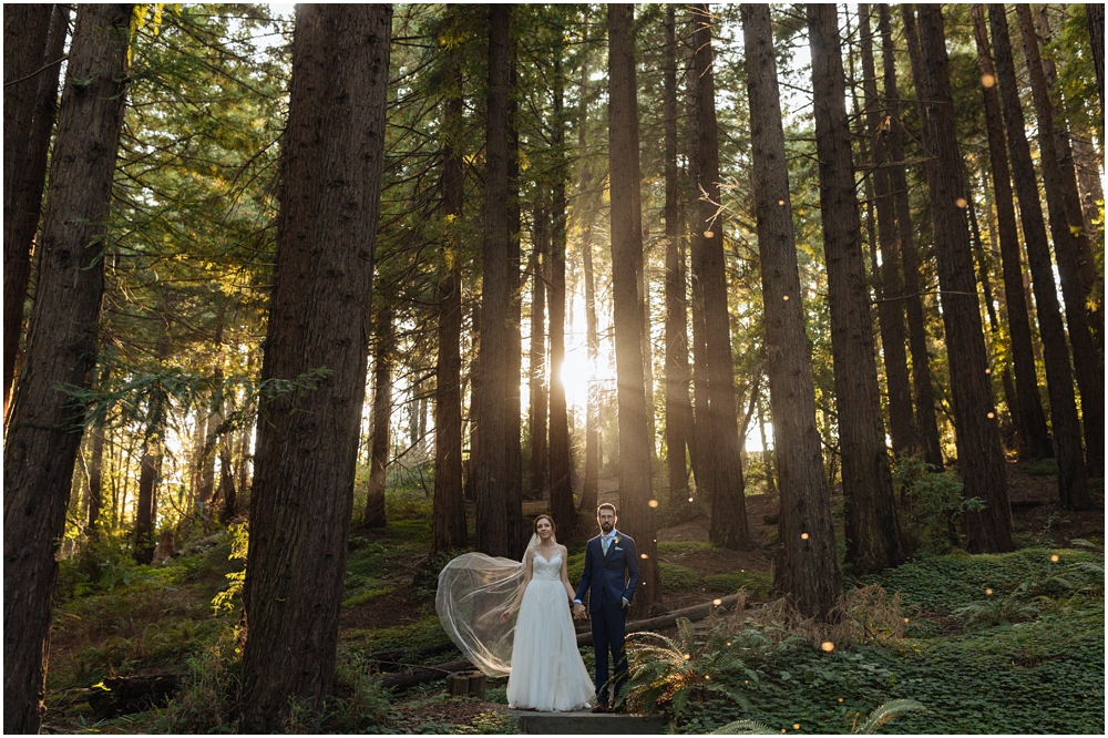 Married couple stands in the redwoods at their redwood wedding venue the Berkeley Botanical Garden, Berkeley