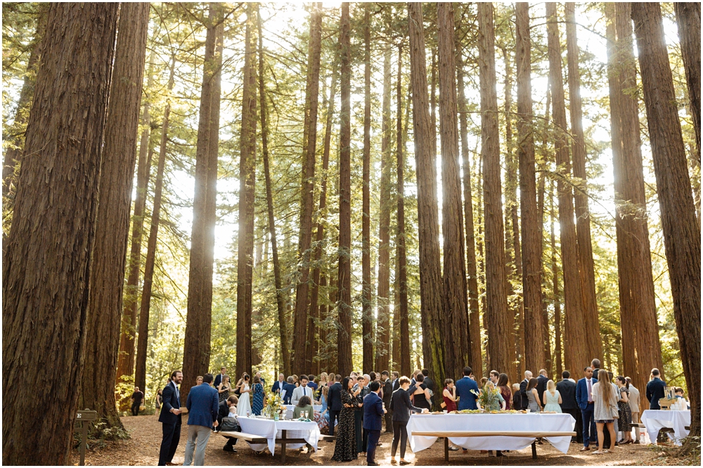 Cocktail hour wedding reception in the redwoods at Oakland Regional Park in California