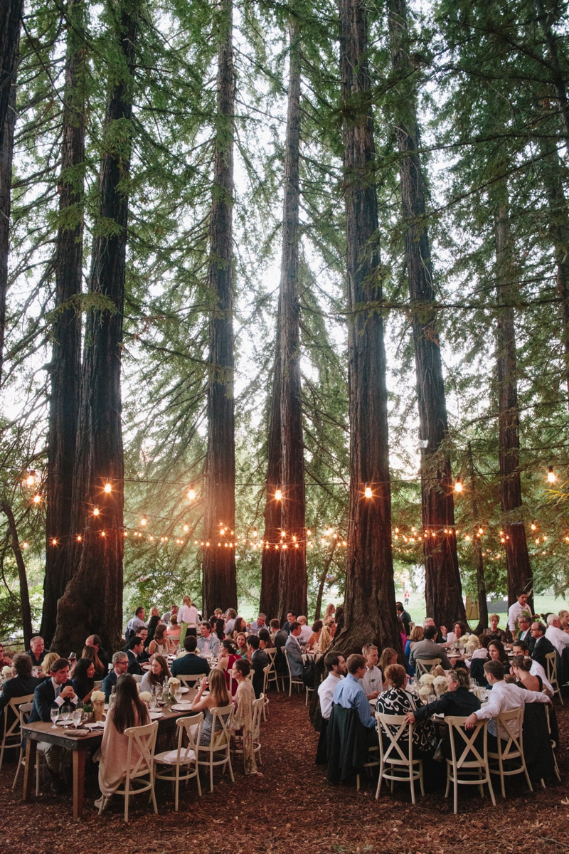 Dinner reception for a wedding in the redwoods with Off the Beaten Path Weddings in Napa, California.
