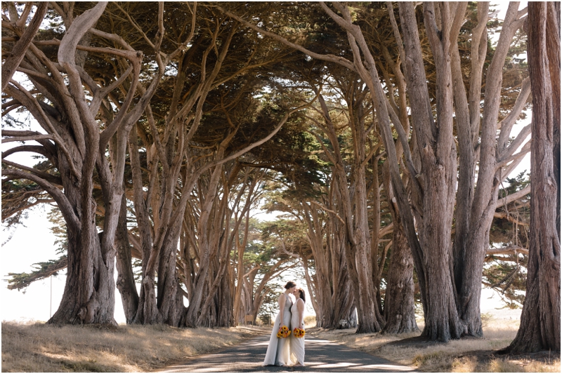 Where to Elope: Point Reyes