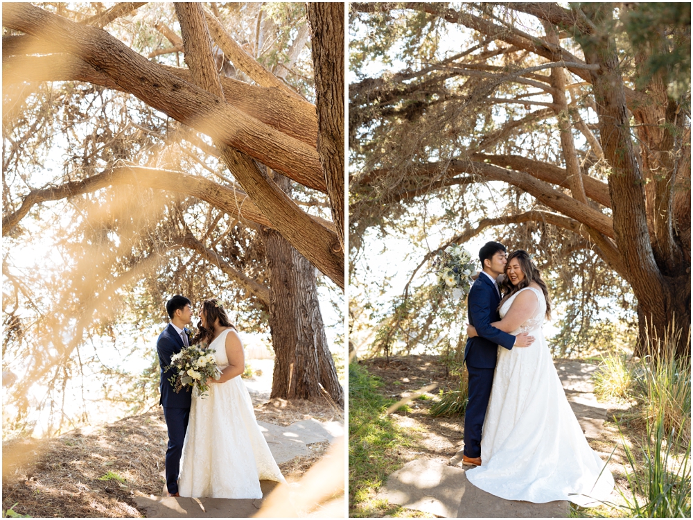 Wind and Sea Big Sur Wedding