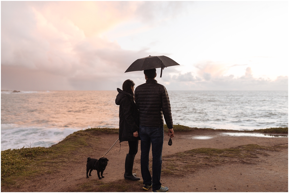 A Starry Proposal in Mendocino engagement proposal under the stars