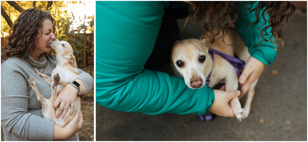 Menlo Park Dog Portraits