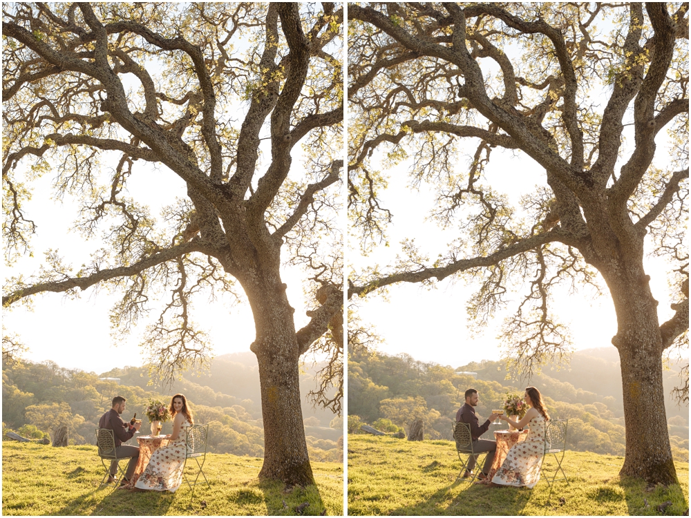 Picnic Engagement Photos