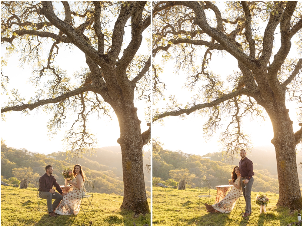 Picnic Engagement Photos