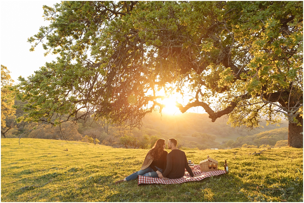 Picnic Engagement Photos