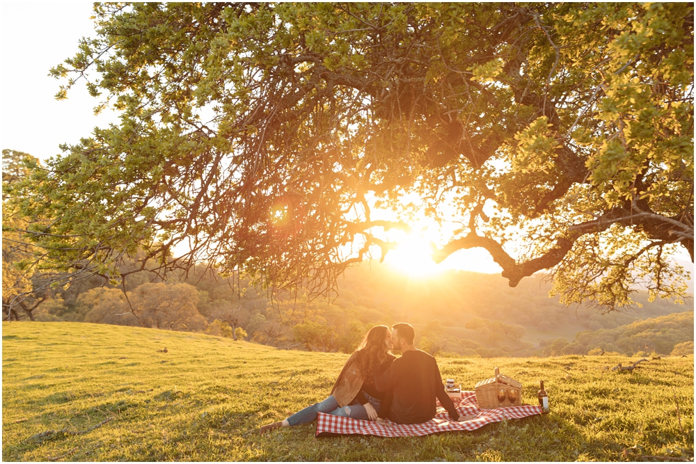 Picnic Engagement Photos