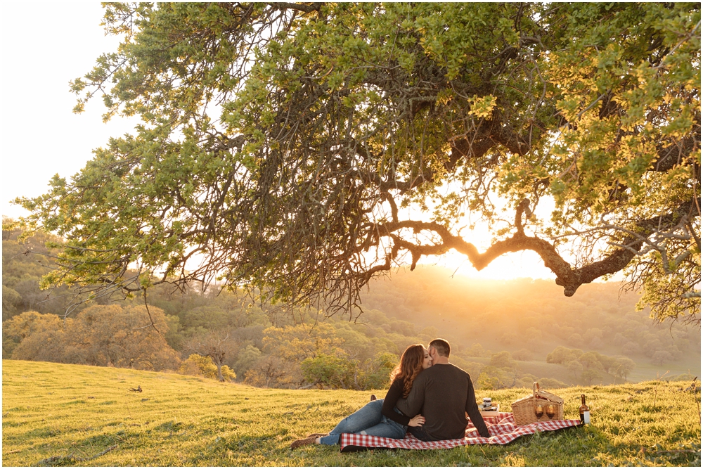 Picnic Engagement Photos