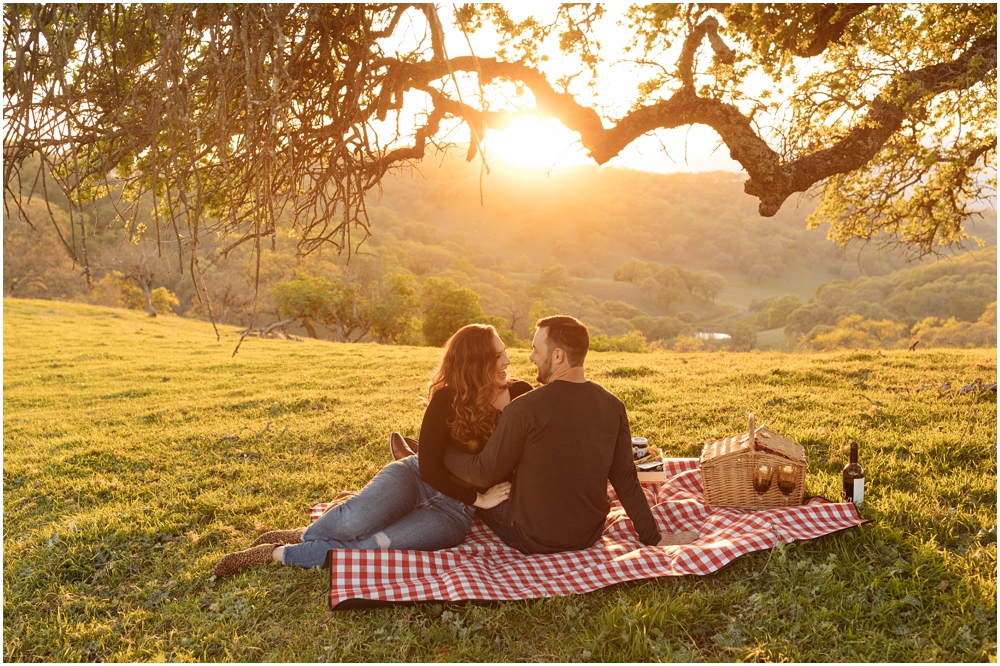 Picnic Engagement Photos