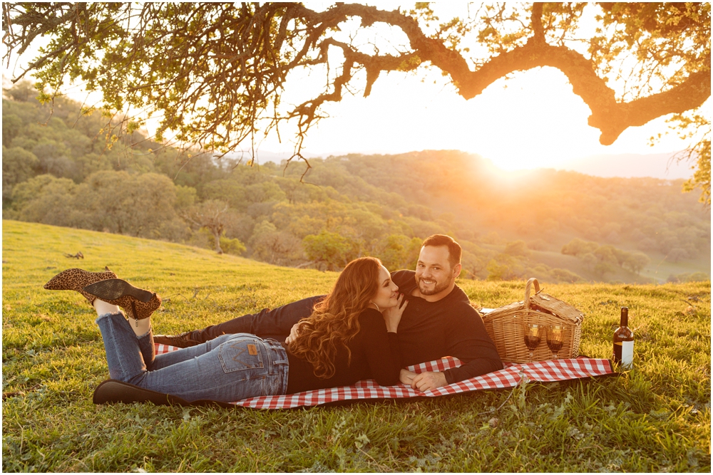 Picnic Engagement Photos