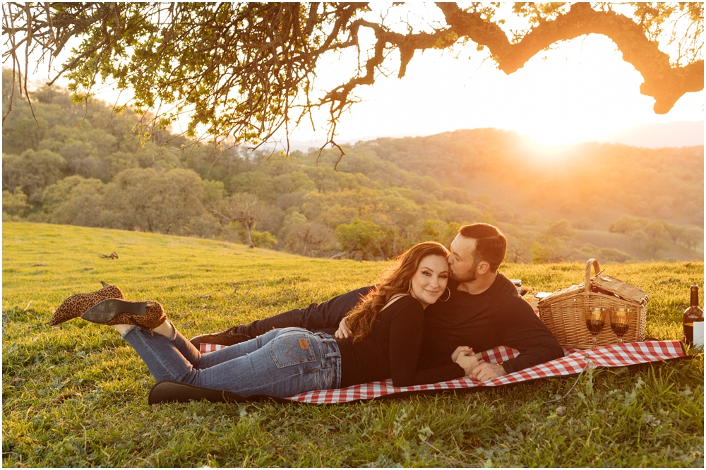 Picnic Engagement Photos