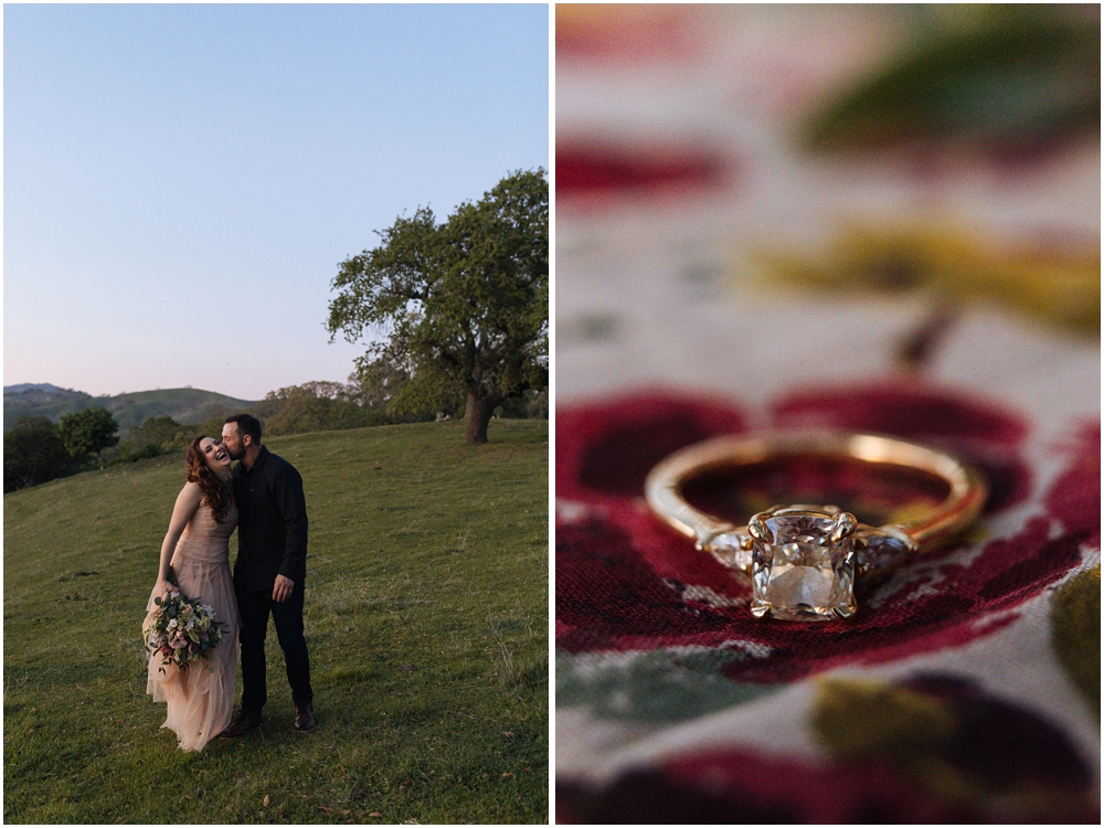 Picnic Engagement Photos