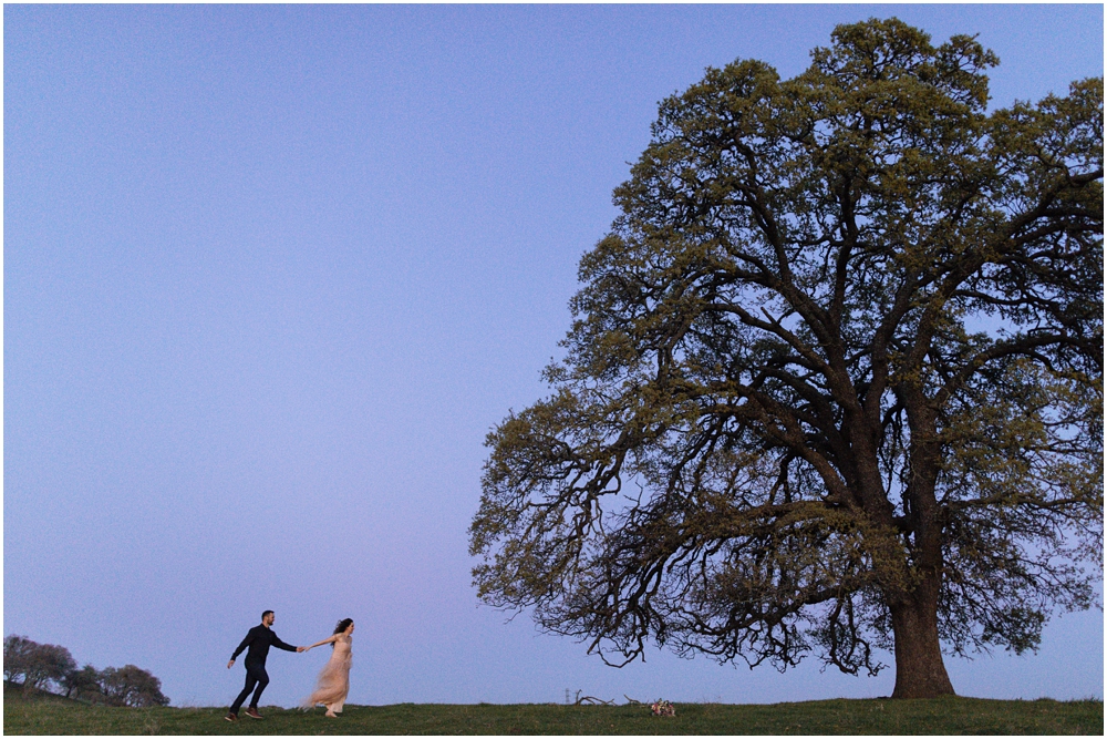 Picnic Engagement Photos