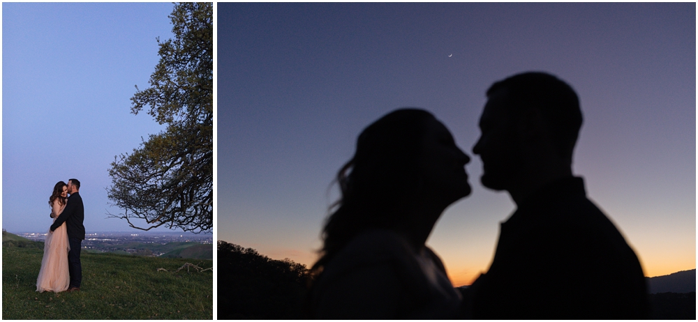 Picnic Engagement Photos