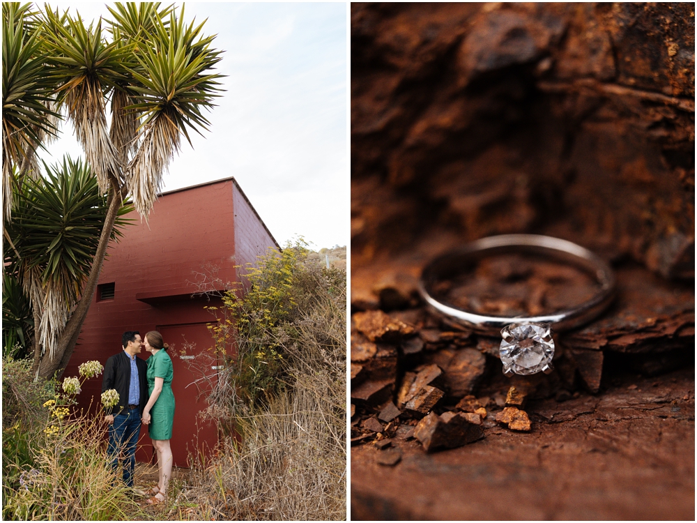 Sausalito Engagement Photos