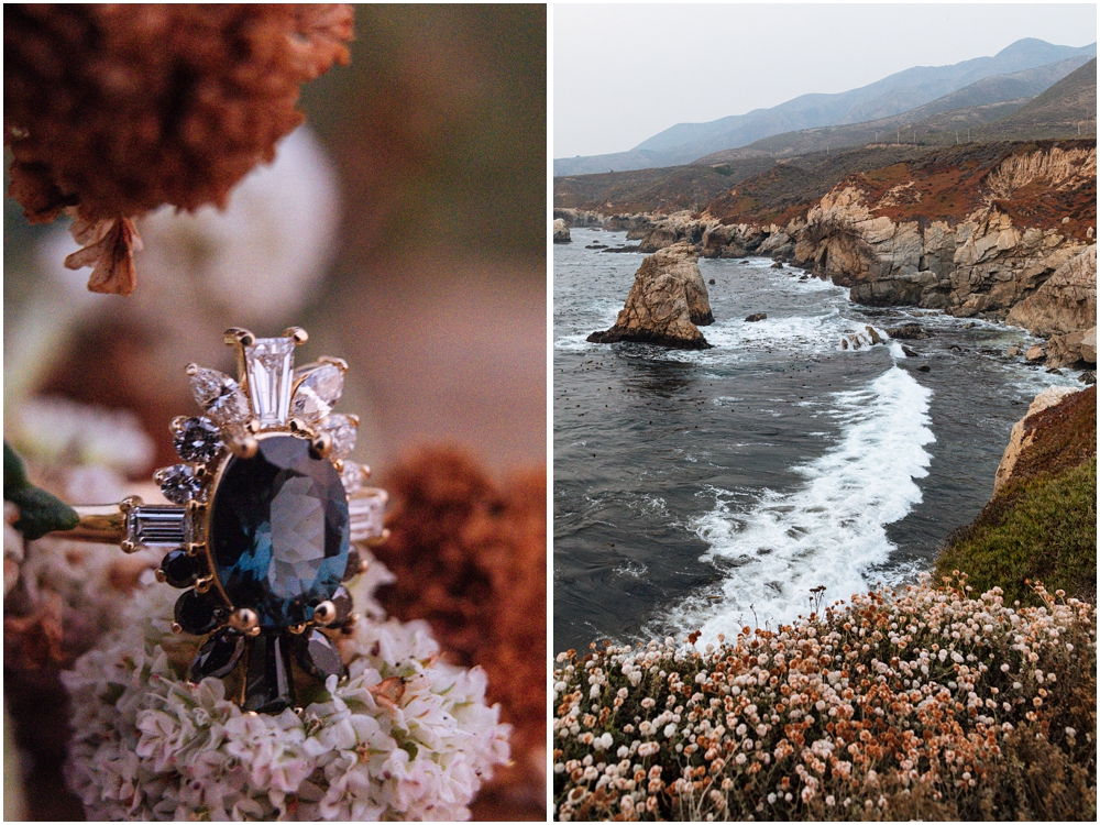 Big Sur Proposal Photos