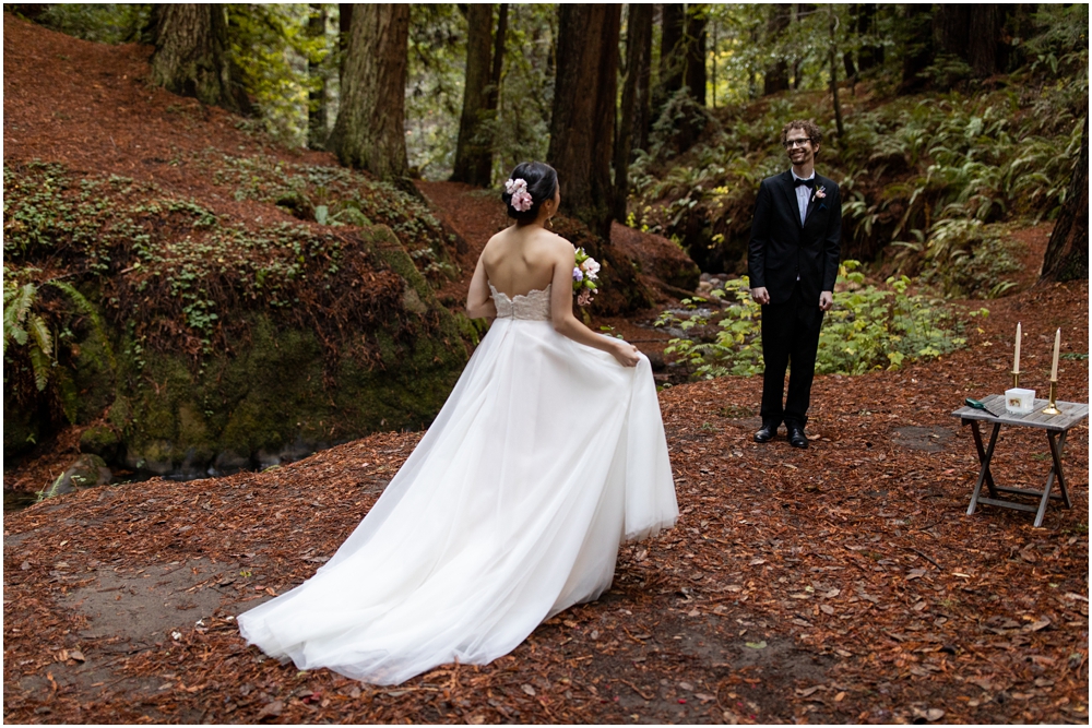 Julia Pfeiffer Burns State Park Elopement