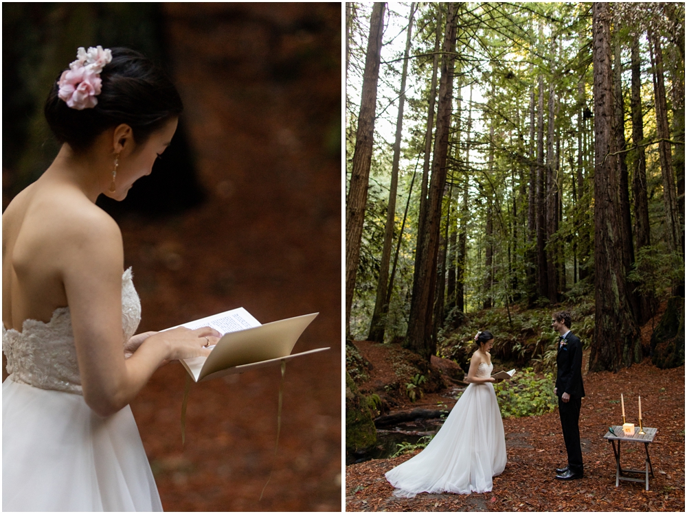 Julia Pfeiffer Burns State Park Elopement