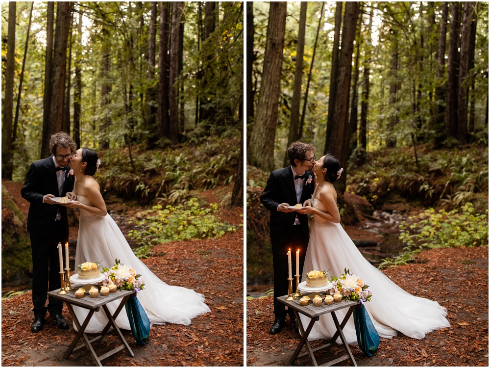 Julia Pfeiffer Burns State Park Elopement