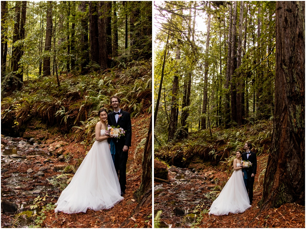 Julia Pfeiffer Burns State Park Elopement