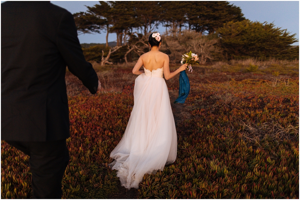 Julia Pfeiffer Burns State Park Elopement